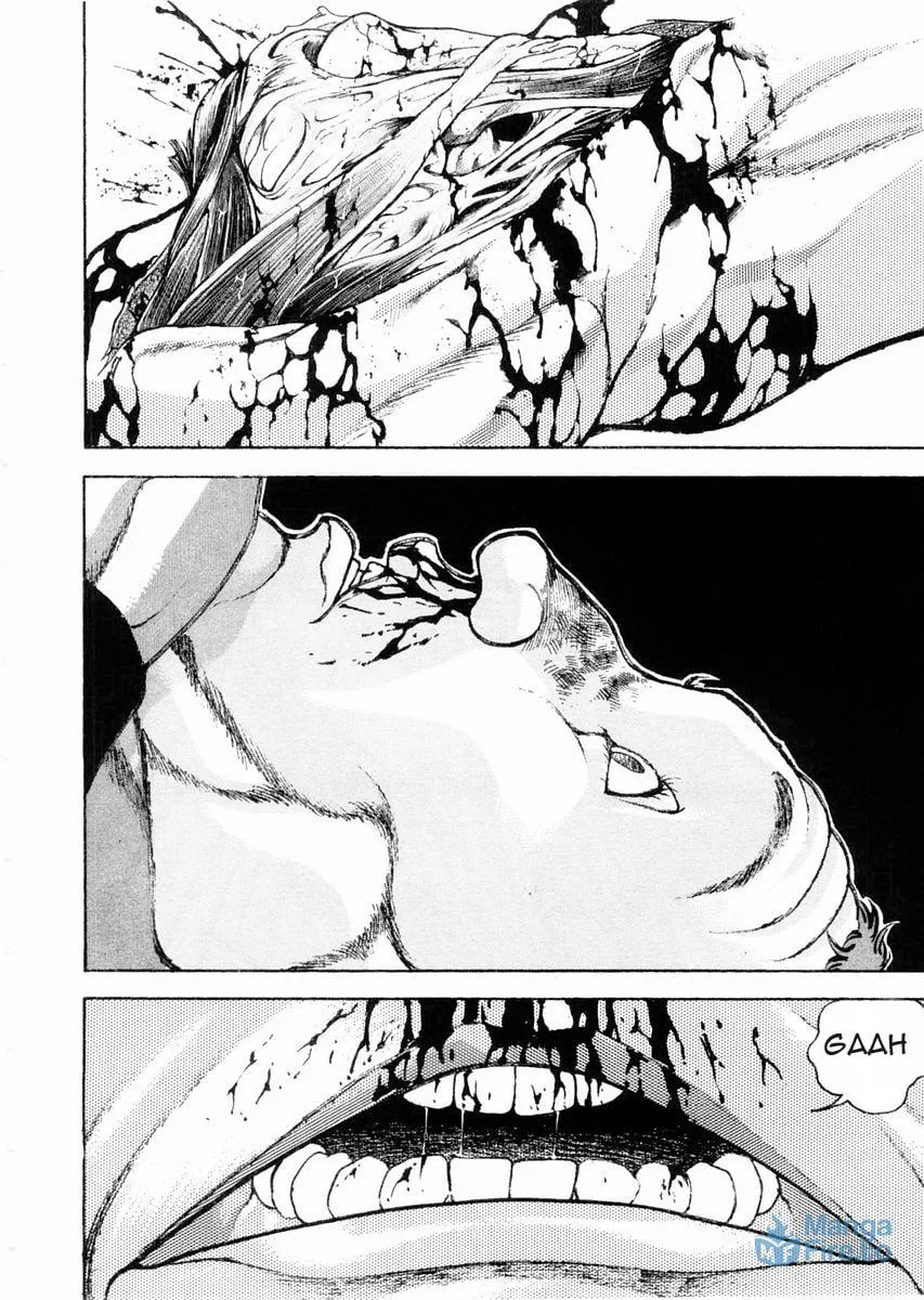 Garoden (ITAGAKI Keisuke) Chapter 97 page 15 - 