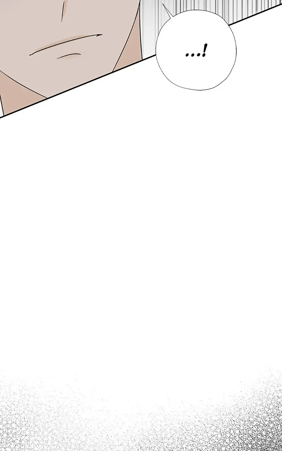 Gazing at You Chapter 36 page 41 - 