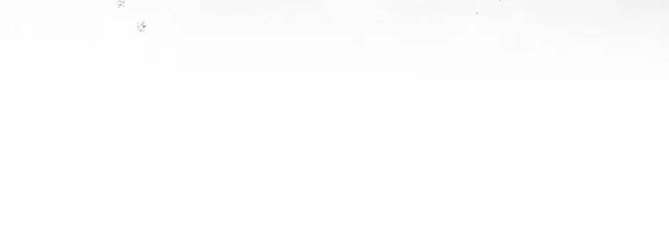 Gazing at You Chapter 41 page 48 - 