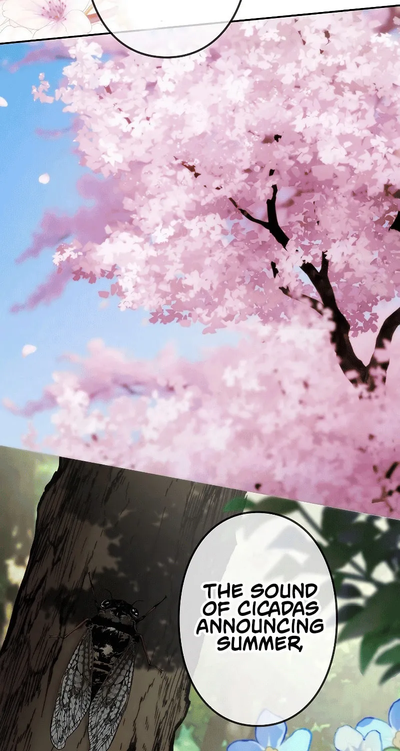 Genesis of the Battle God Chapter 16 page 60 - 
