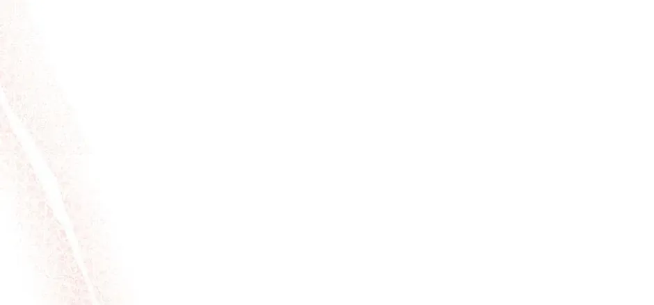 Genre is Romance Chapter 51 page 224 - 
