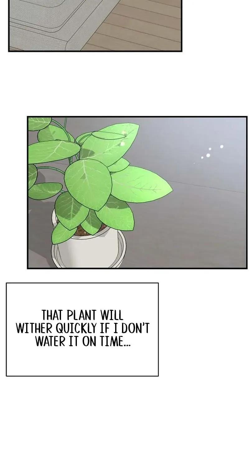 Read Gentle Intruder chapter 3 image 74 on Lezhin
