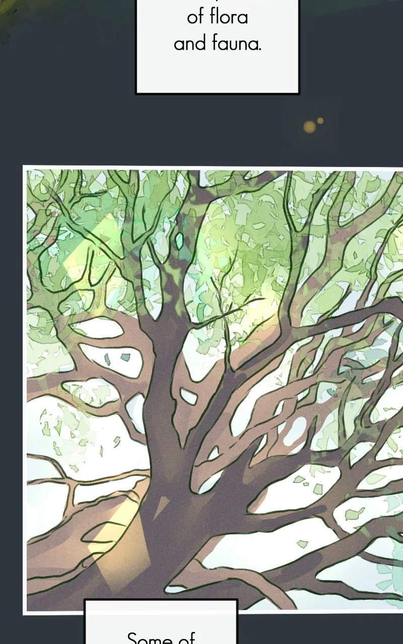 Read Ghost Lights chapter 72 image 10 on Lezhin