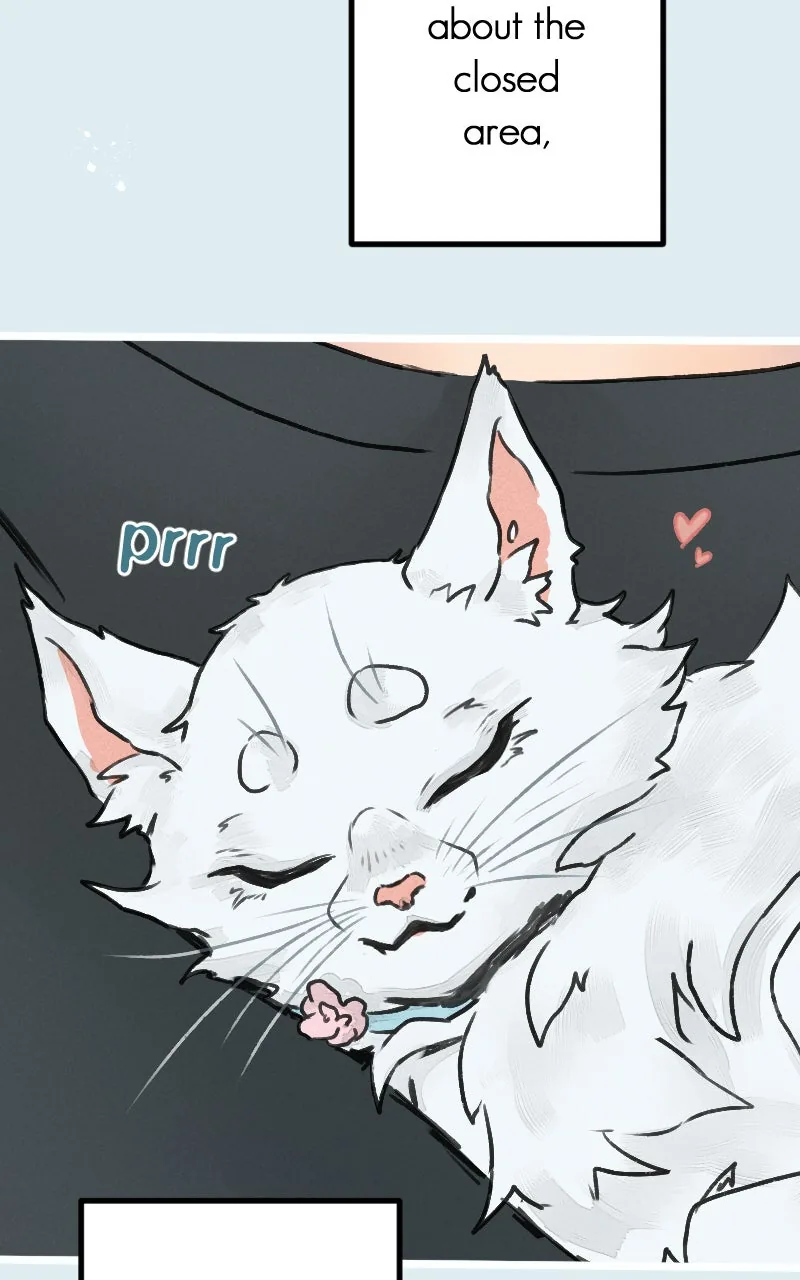 Read Ghost Lights chapter 84 image 25 on Lezhin