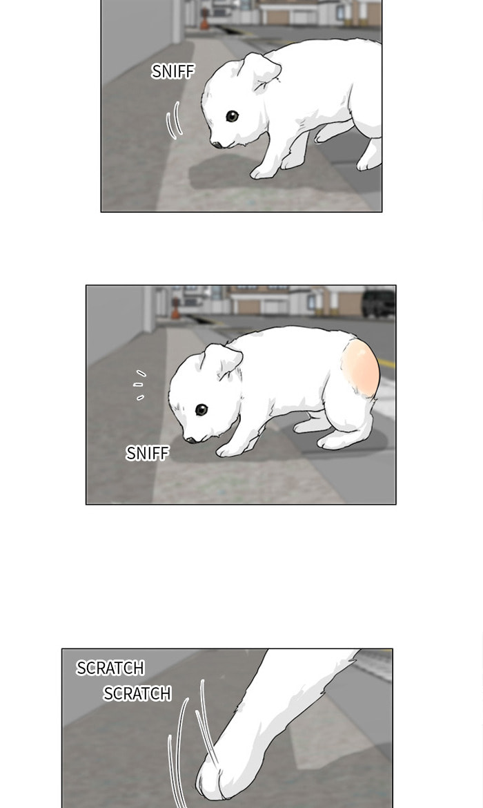 Read Ghost Wife chapter 101 image 37 on Lezhin