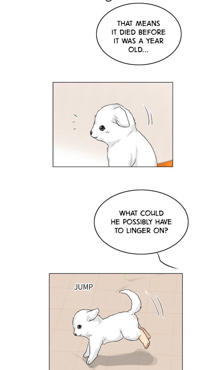 Read Ghost Wife chapter 101 image 8 on Lezhin