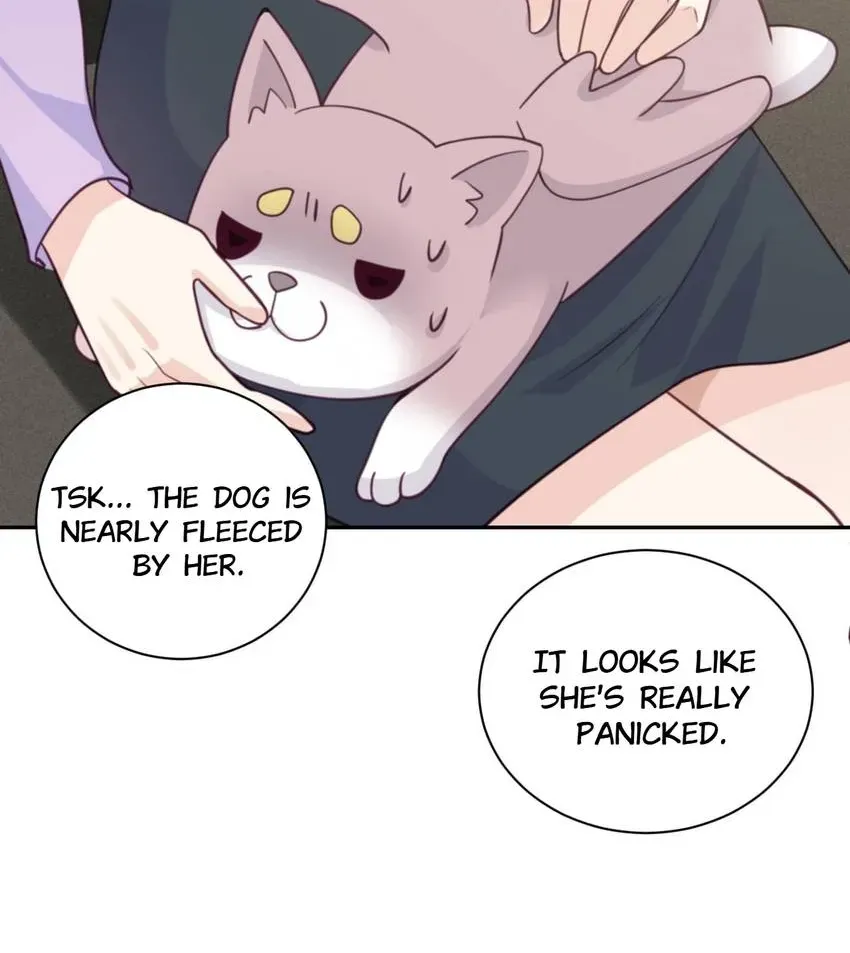 Gift Foolishness to Scheming Boss Chapter 95 page 24 - 