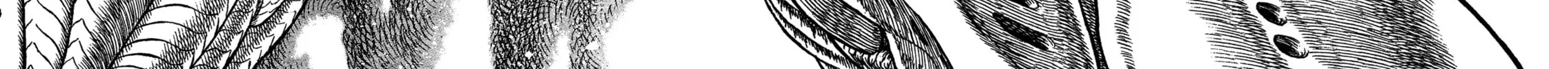 Read Giganto Maxia chapter 4 image 29 on Lezhin