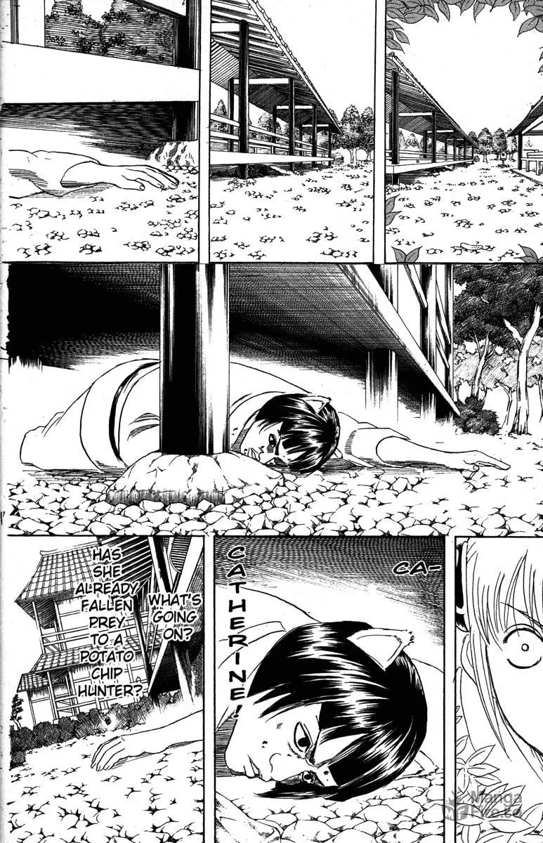 Read Gin Tama (Colored) chapter 157 image 5 on Lezhin