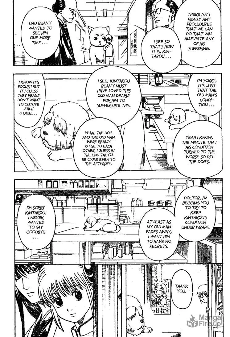 Read Gin Tama (Colored) chapter 207 image 5 on Lezhin