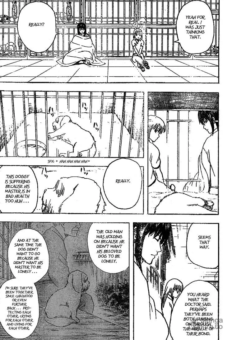Read Gin Tama (Colored) chapter 207 image 8 on Lezhin