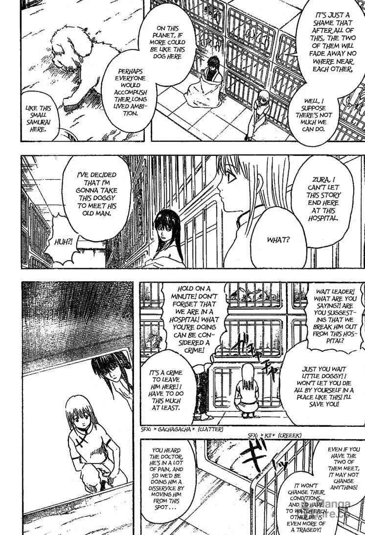 Read Gin Tama (Colored) chapter 207 image 9 on Lezhin