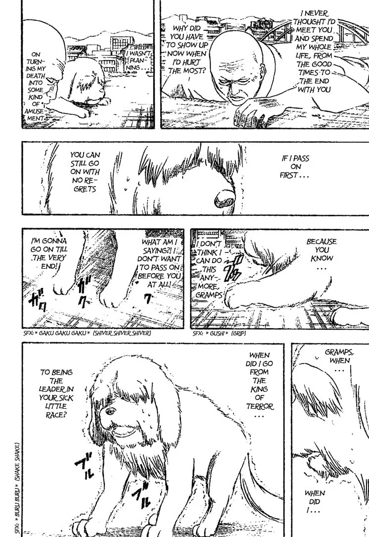 Read Gin Tama (Colored) chapter 209 image 15 on Lezhin