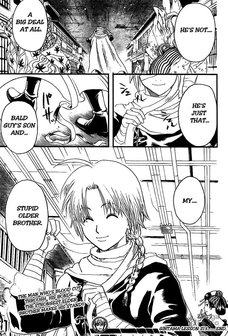 Read Gin Tama (Colored) chapter 213 image 17 on Lezhin