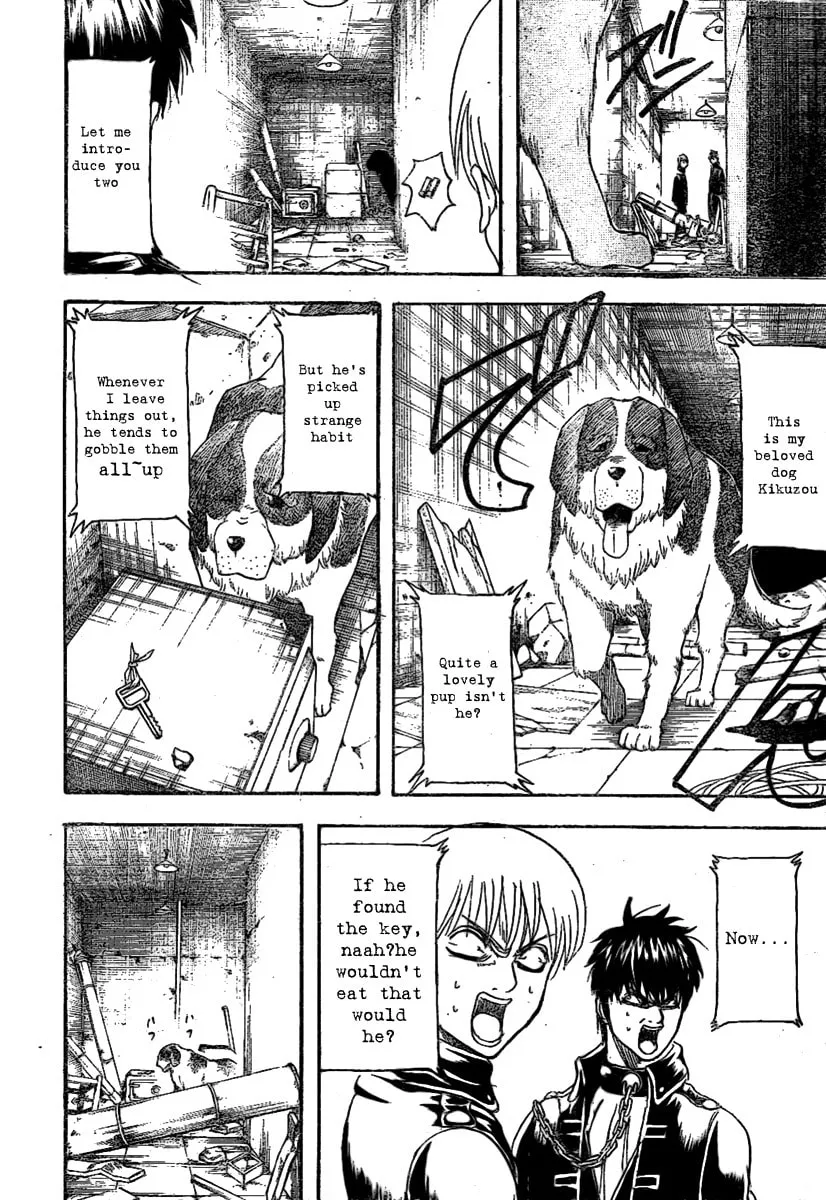 Read Gin Tama (Colored) chapter 234 image 13 on Lezhin
