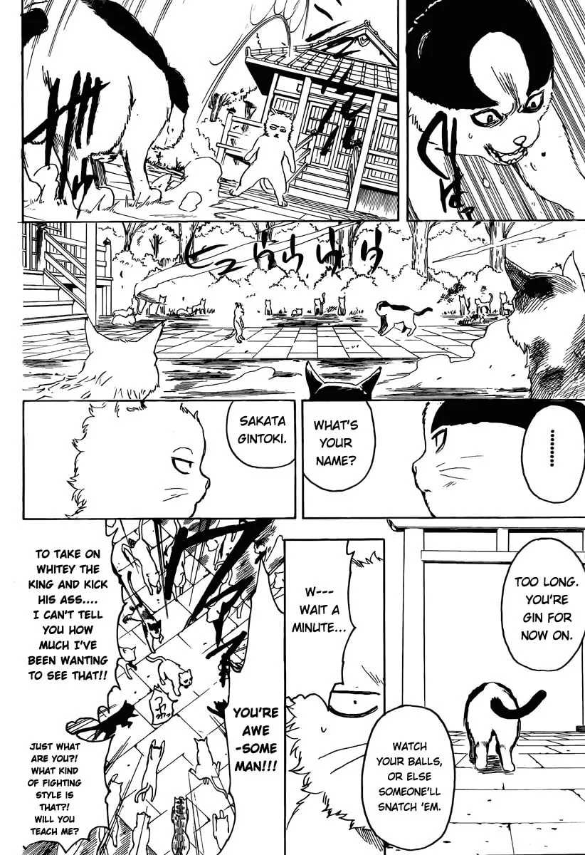 Read Gin Tama (Colored) chapter 275 image 13 on Lezhin