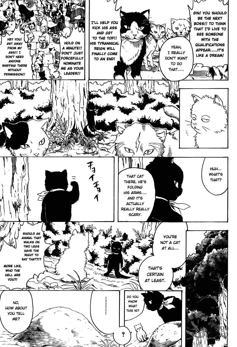 Read Gin Tama (Colored) chapter 275 image 14 on Lezhin