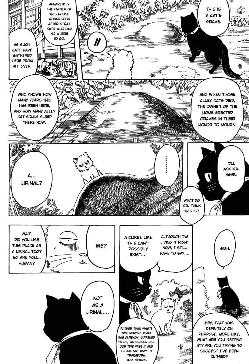Read Gin Tama (Colored) chapter 275 image 15 on Lezhin