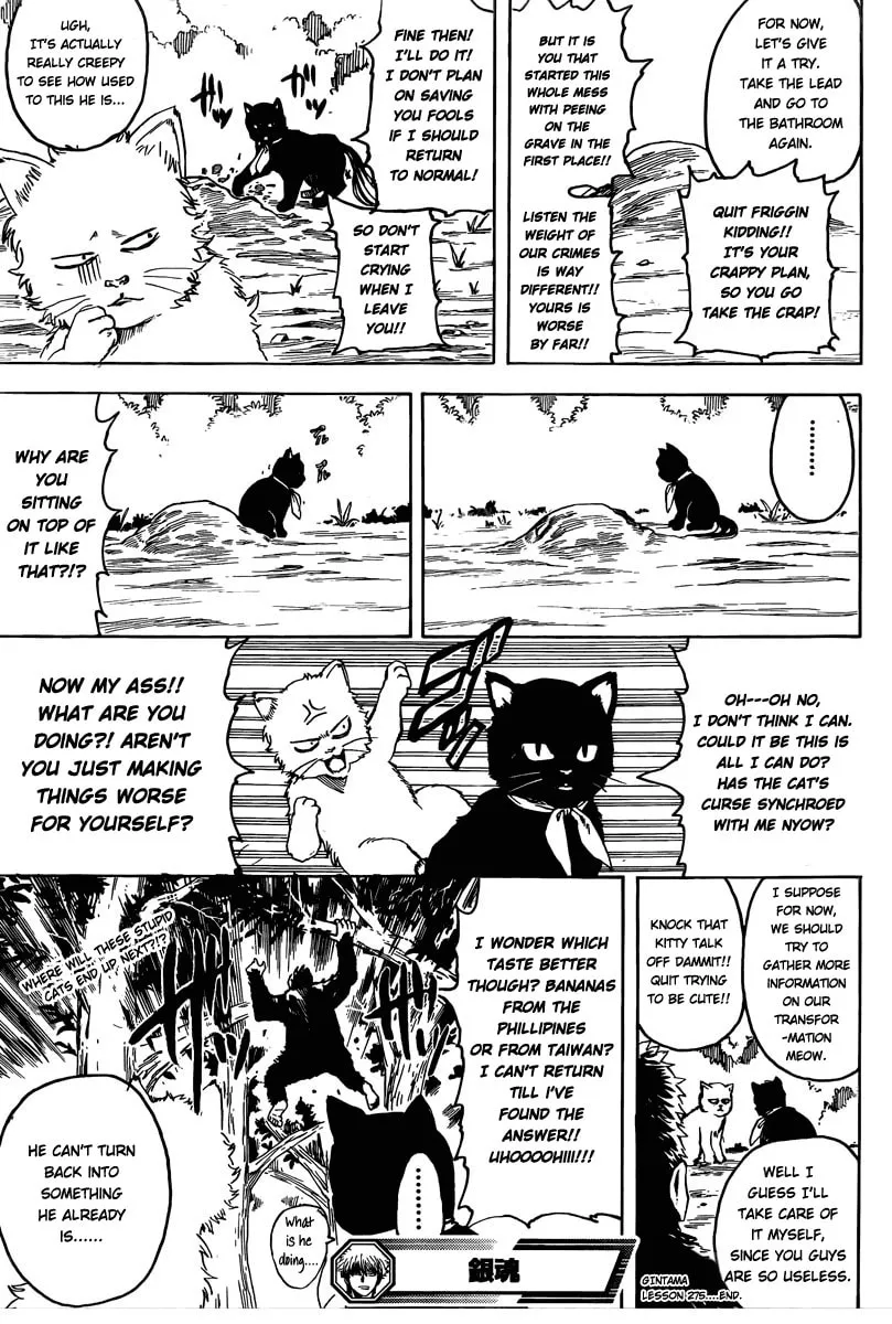 Read Gin Tama (Colored) chapter 275 image 18 on Lezhin