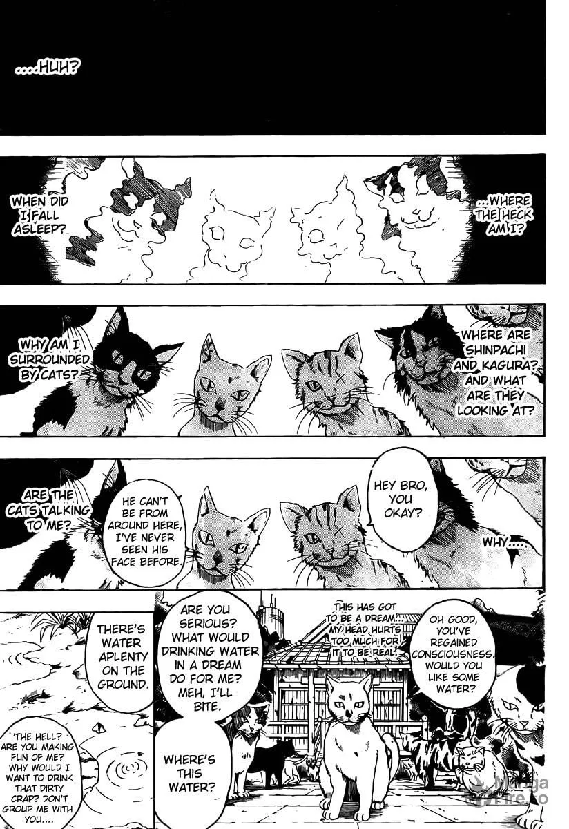 Read Gin Tama (Colored) chapter 275 image 4 on Lezhin