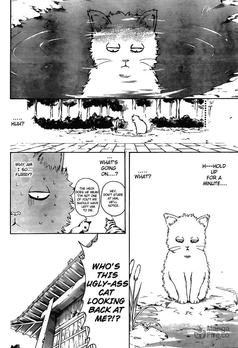 Read Gin Tama (Colored) chapter 275 image 5 on Lezhin