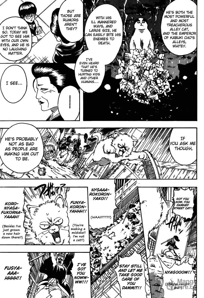 Read Gin Tama (Colored) chapter 275 image 8 on Lezhin