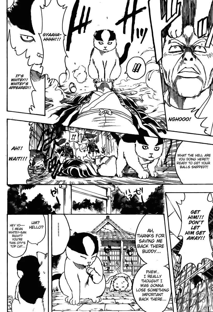 Read Gin Tama (Colored) chapter 275 image 9 on Lezhin