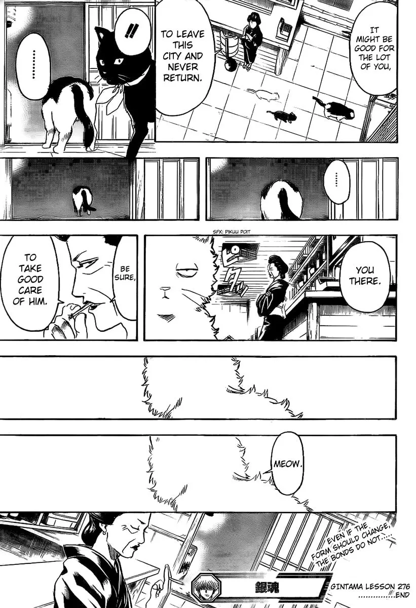 Read Gin Tama (Colored) chapter 276 image 18 on Lezhin