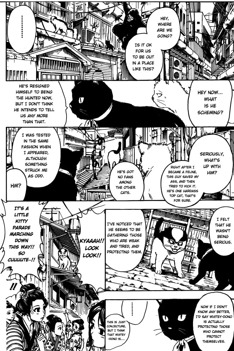 Read Gin Tama (Colored) chapter 276 image 3 on Lezhin
