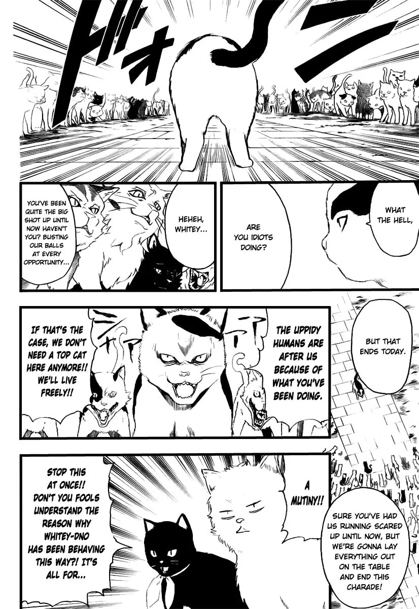 Read Gin Tama (Colored) chapter 277 image 15 on Lezhin