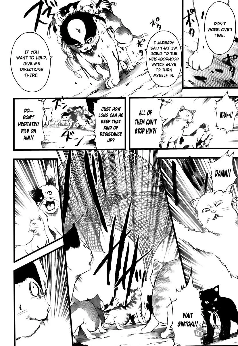 Read Gin Tama (Colored) chapter 277 image 17 on Lezhin