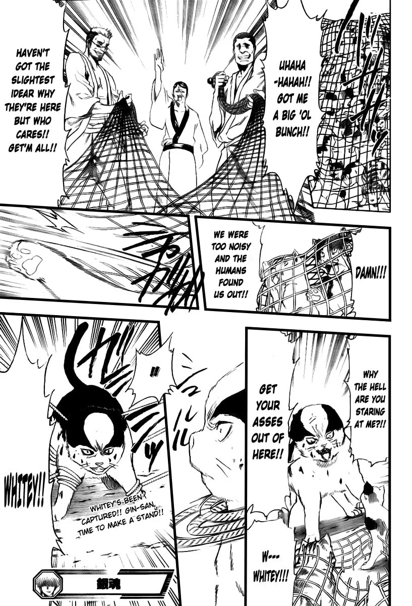 Read Gin Tama (Colored) chapter 277 image 18 on Lezhin