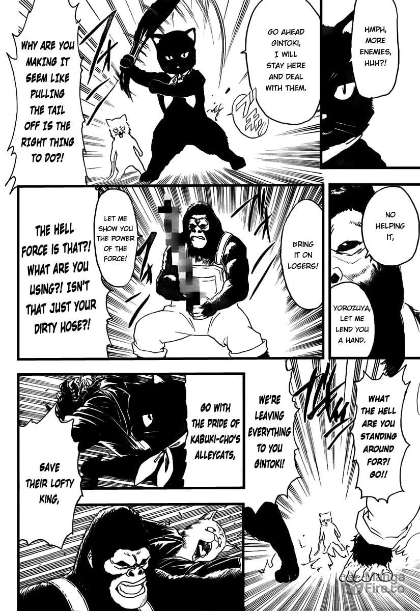 Read Gin Tama (Colored) chapter 278 image 11 on Lezhin