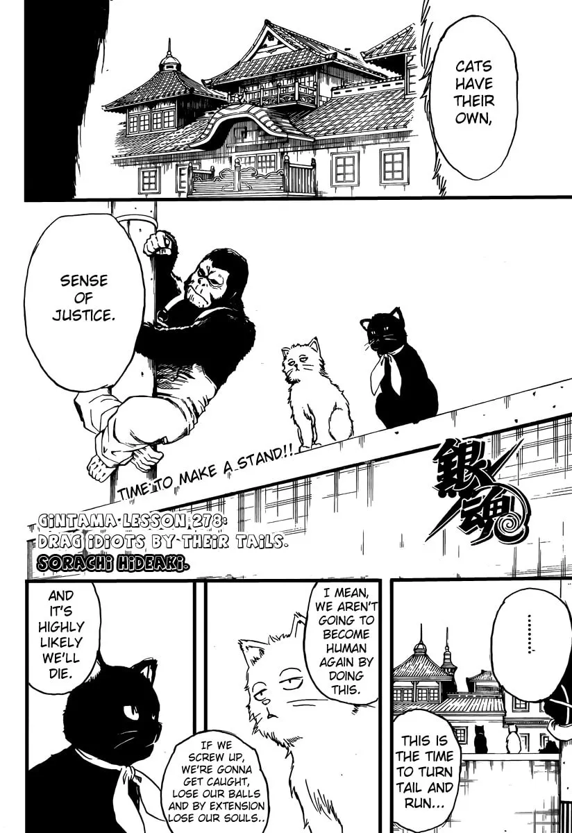 Read Gin Tama (Colored) chapter 278 image 3 on Lezhin