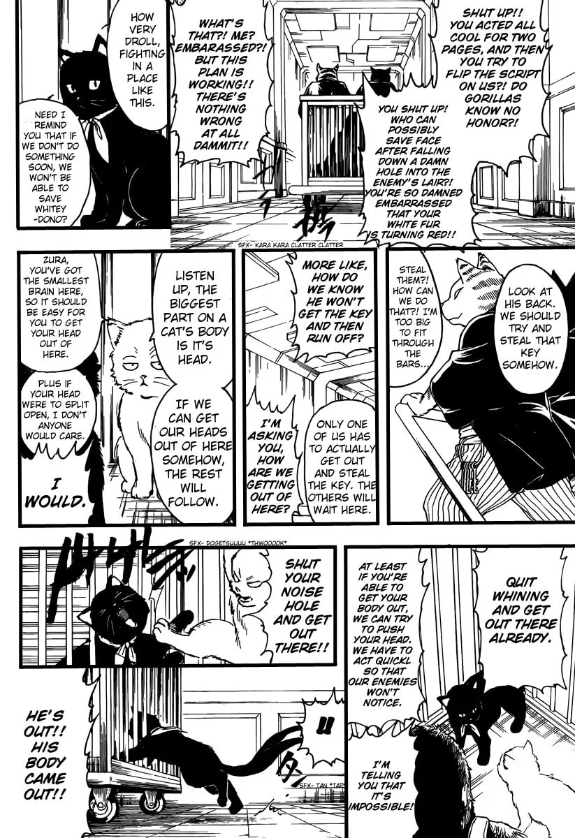 Read Gin Tama (Colored) chapter 278 image 7 on Lezhin