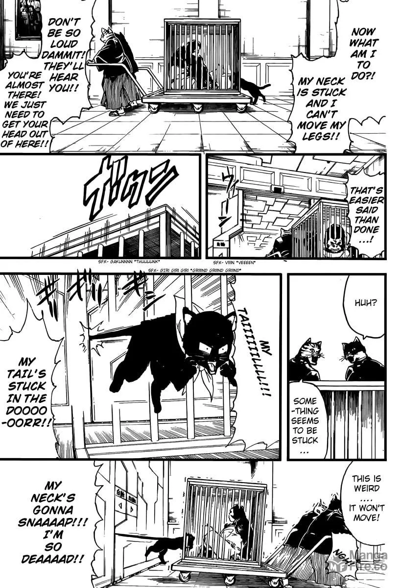 Read Gin Tama (Colored) chapter 278 image 8 on Lezhin