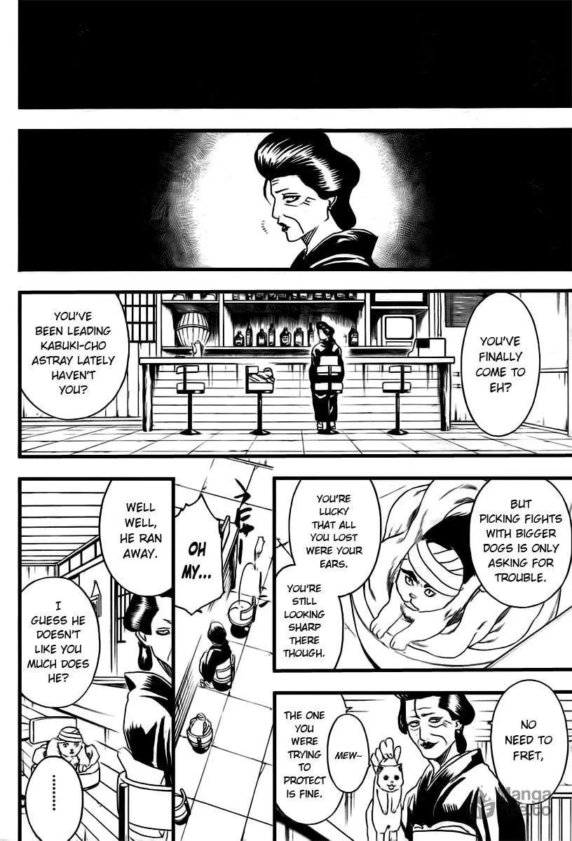 Read Gin Tama (Colored) chapter 279 image 5 on Lezhin