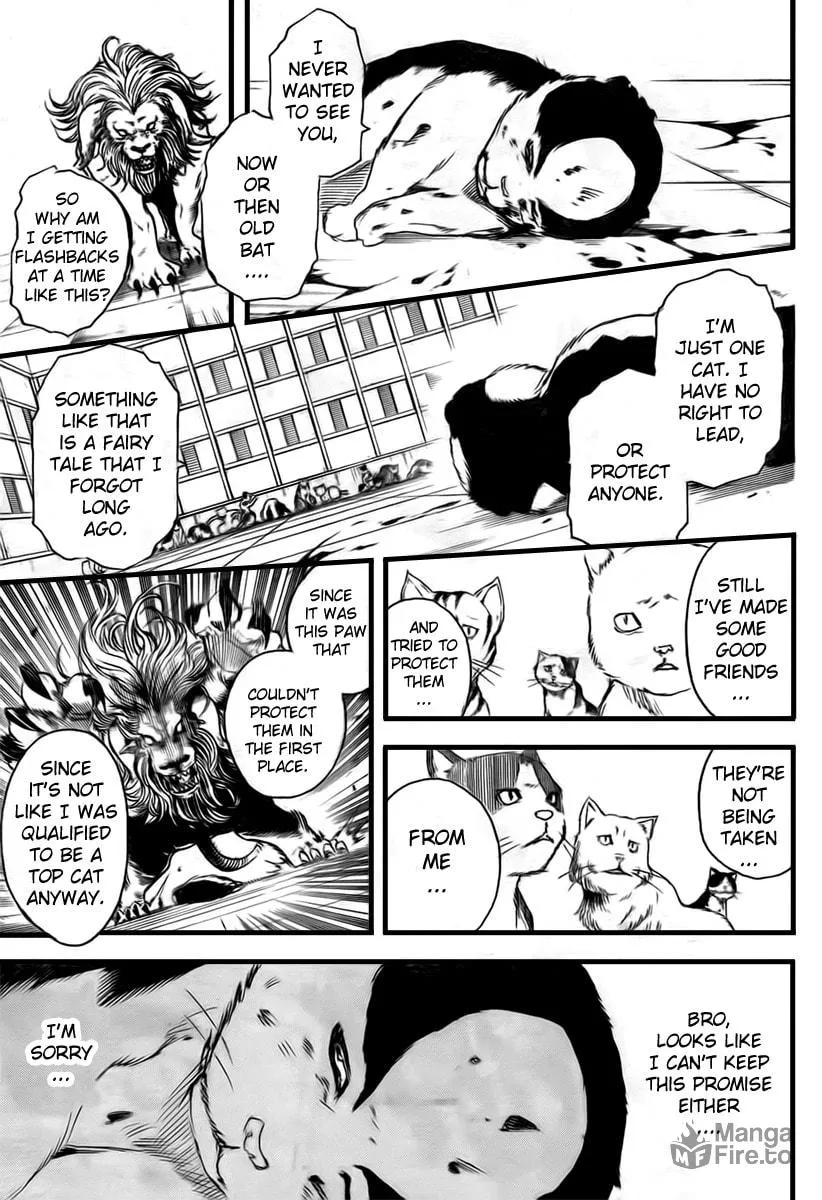 Read Gin Tama (Colored) chapter 279 image 8 on Lezhin