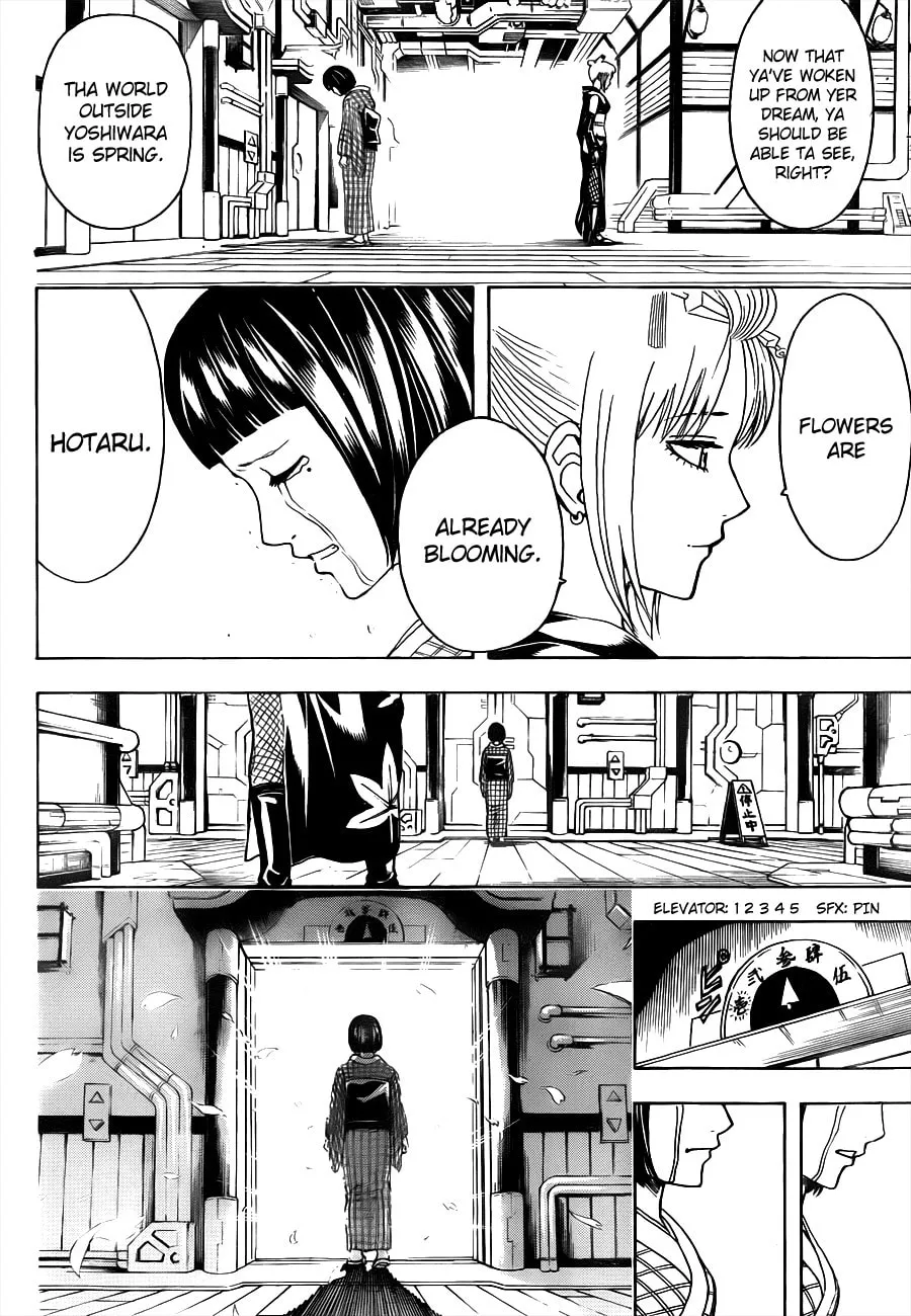 Read Gin Tama (Colored) chapter 496 image 15 on Lezhin