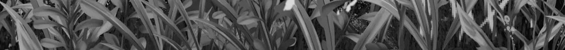 Read Given chapter 37 image 13 on Lezhin