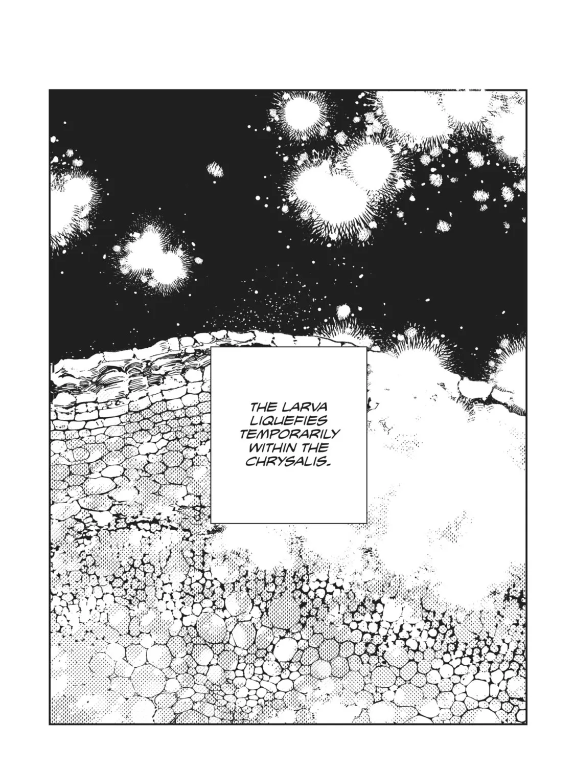 Read Given chapter 43.5 image 14 on Lezhin