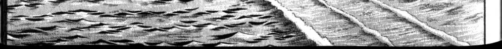 Glass no Kamen Chapter 255 page 51 - 