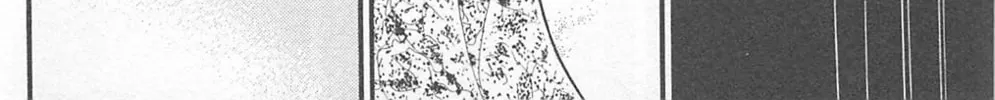 Glass no Kamen Chapter 268 page 62 - 