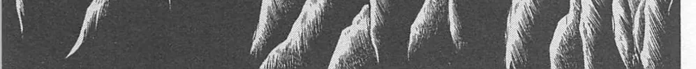 Glass no Kamen Chapter 268 page 64 - 