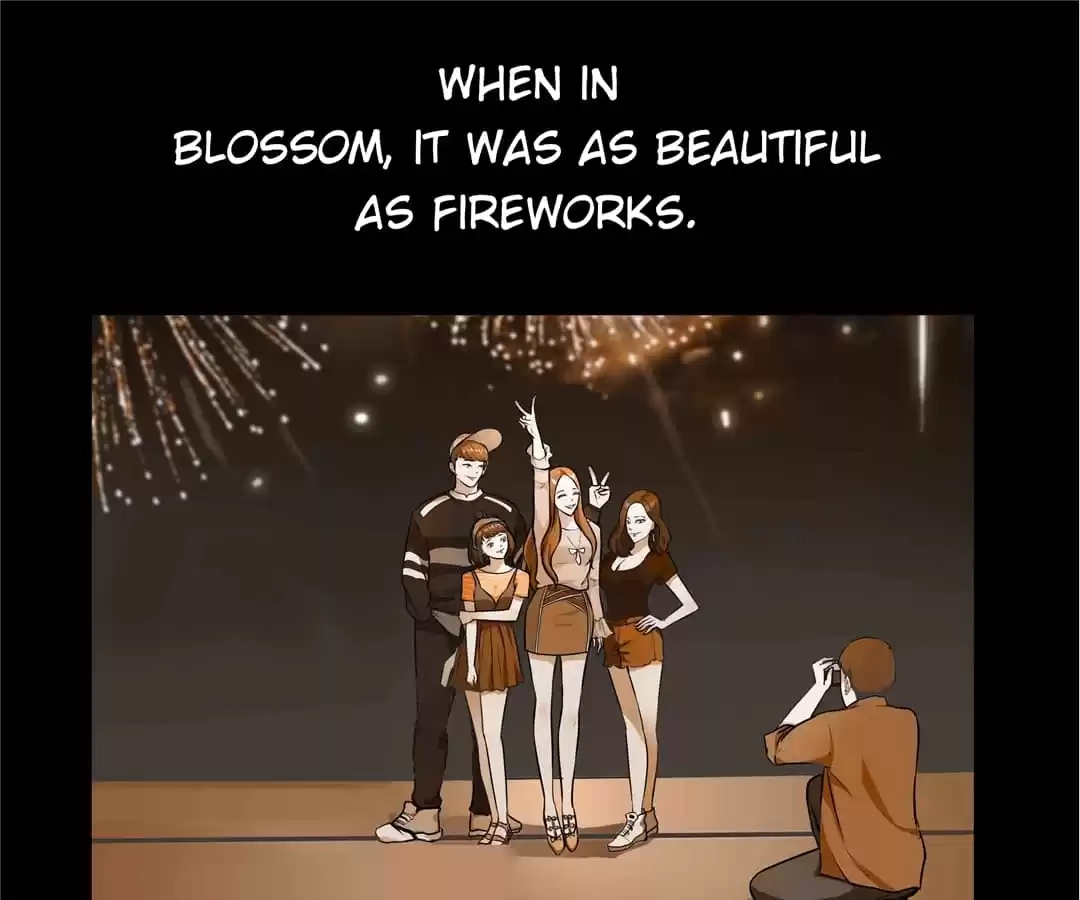 Glass Slippers Chapter 74 page 13 - 