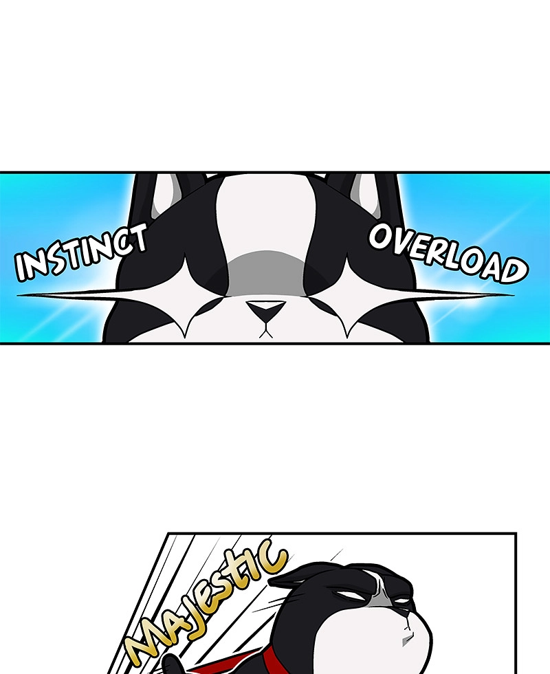 Glasses School Chapter 2 page 11 - 