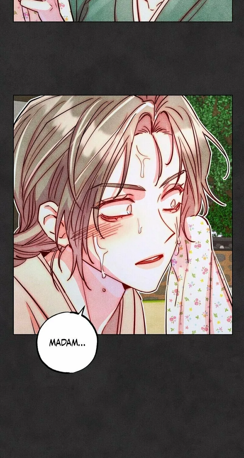 Read Gluttonous Widow chapter 3 image 26 on Lezhin