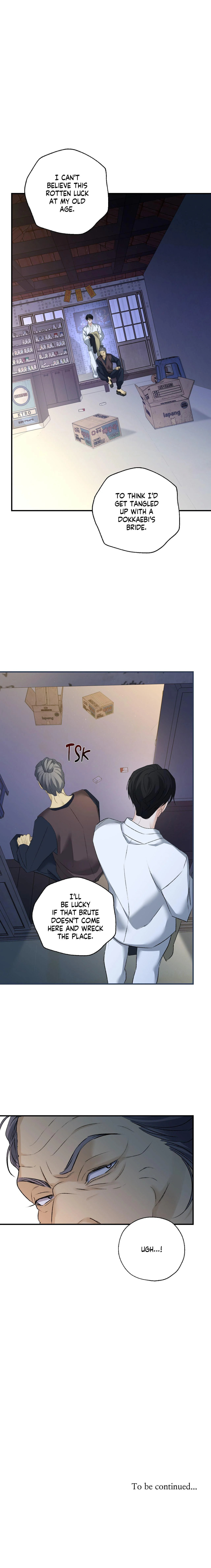 Goblin Bride Chapter 17 page 13 - 