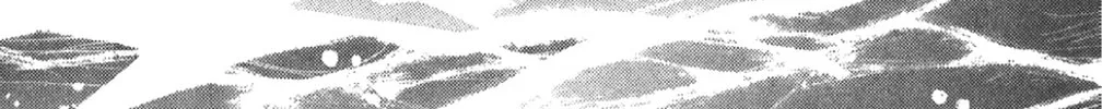 Read God Says! chapter 16 image 51 on Lezhin