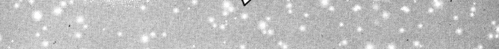Read God Says! chapter 22 image 43 on Lezhin